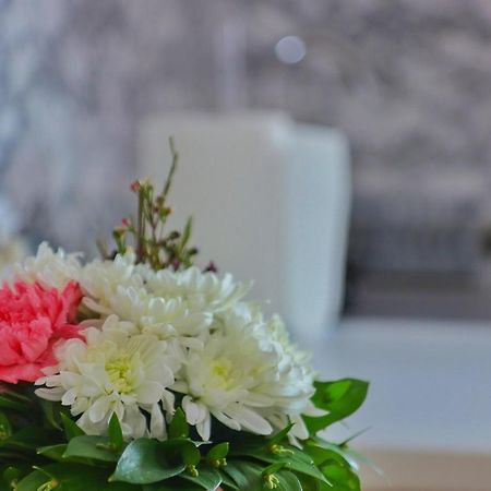Sobe Mira Daire Trebin Dış mekan fotoğraf